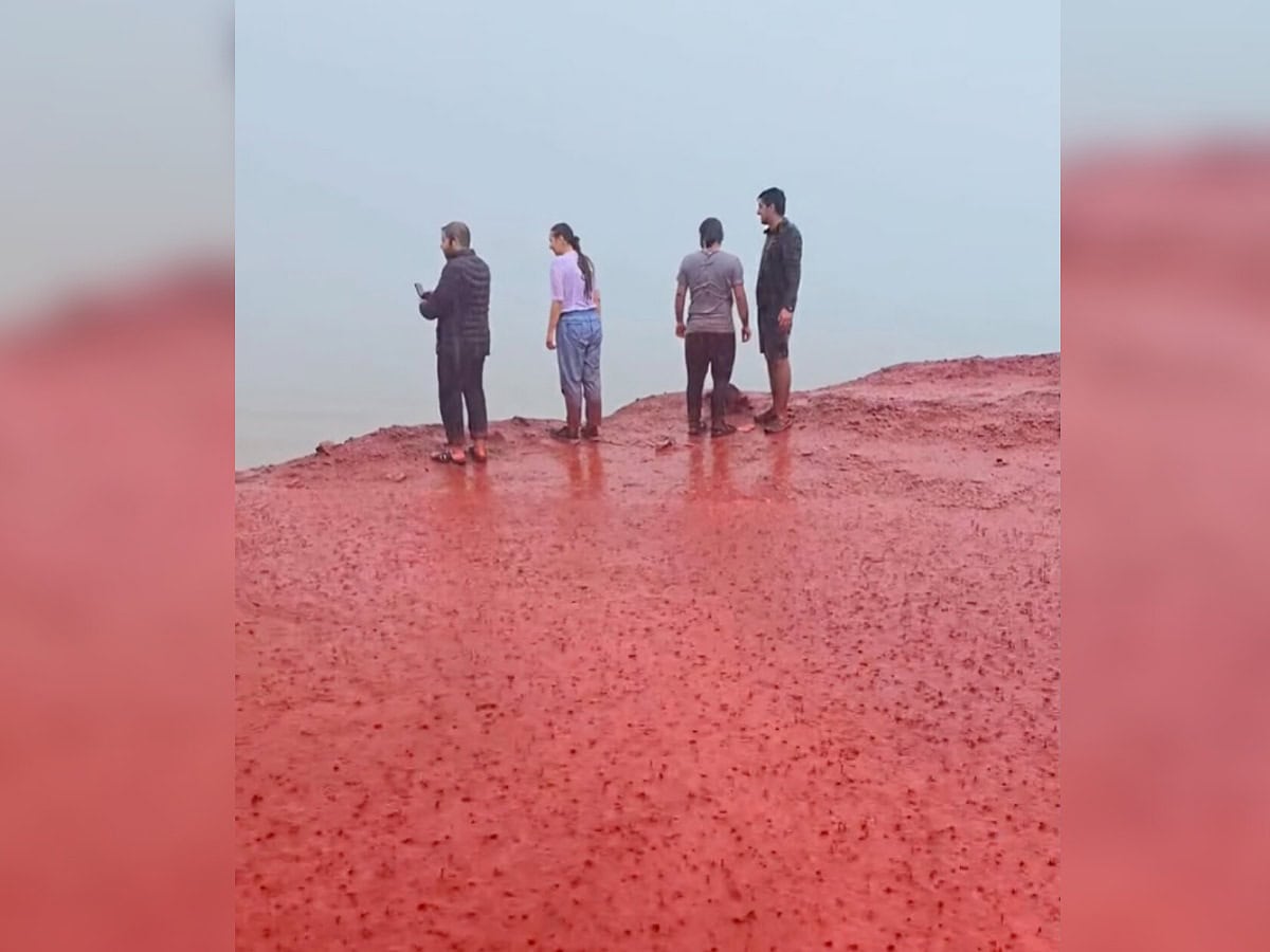 Watch: Heavy rain turns Iranian beach blood red, stuns viewers