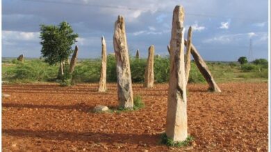 Telangana's Mudumal Megalithic Menhirs in tentative UNESCO list