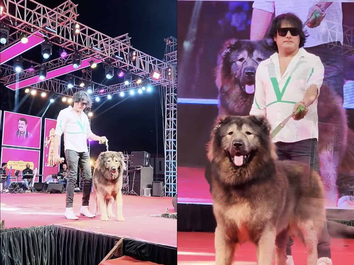 World's most expensive dog sold for Rs 50 crore, check details