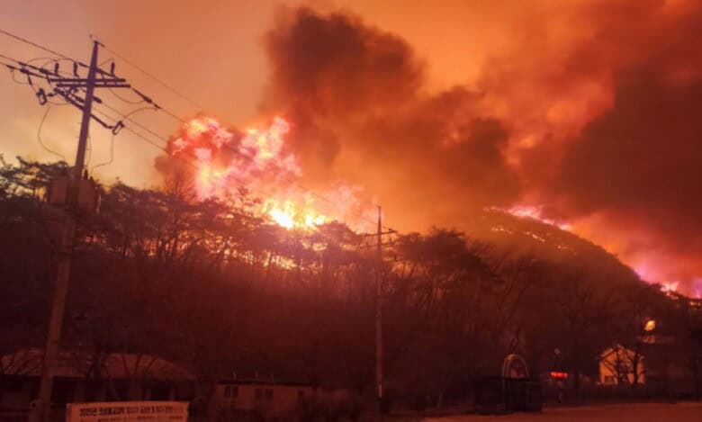 South Korea Wildfire