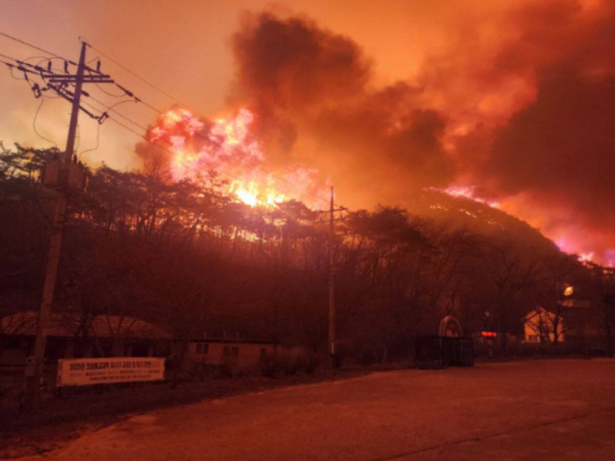 South Korea Wildfire