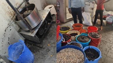 Popular eateries, Varalaxmi Tiffins center in Gachibowli and Kshatriya Foods in Kavuri Hills were found operating in highly unhygienic conditions.