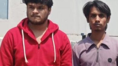 Two students jailed for 2 days over possession of weapons