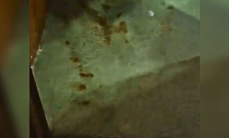 Watch: UP Assembly bans pan masala, gutka after MLA spits on carpet