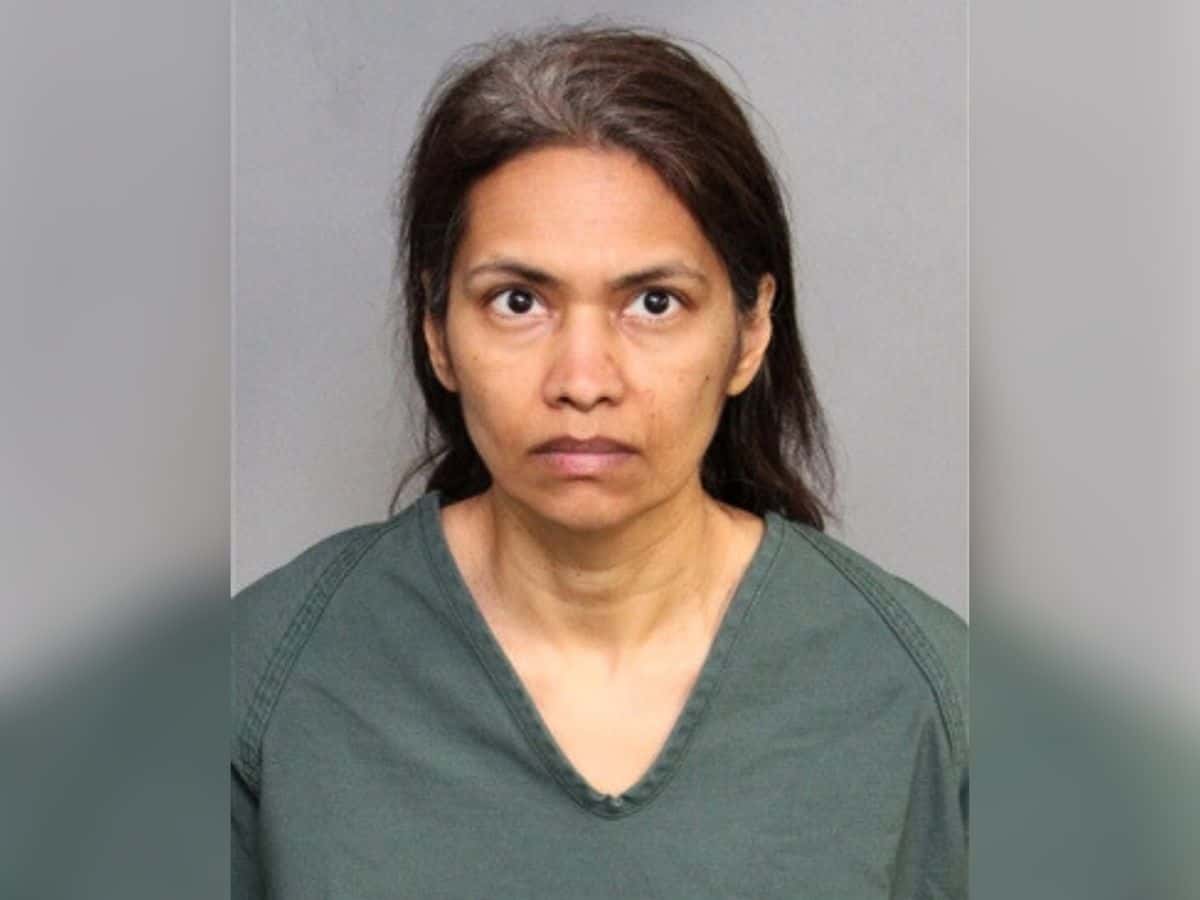 Indian-origin woman slits son's throat after Disneyland vacation; charged