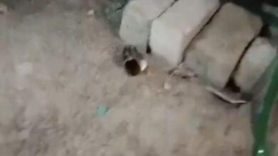 Beer bottles found at mosque in Miyapur during Shab-e-Qadr