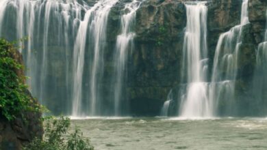 Bogatha Waterfall: The 'Niagara of Telangana' you must visit