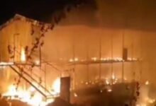 Video: 500 sheep perish in fire accident in Telangana' Warangal