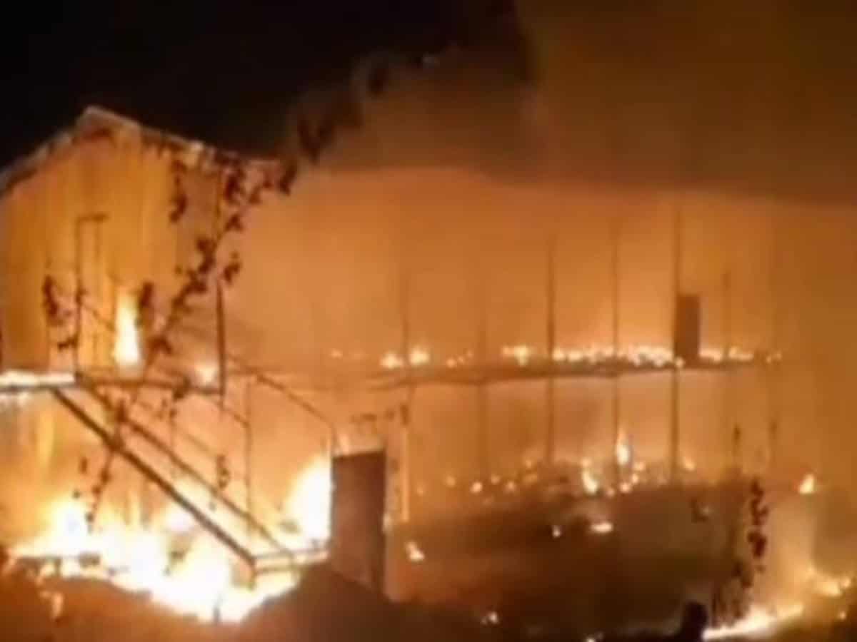 Video: 500 sheep perish in fire accident in Telangana' Warangal