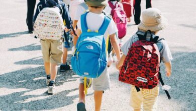 Telangana announces half-day schools from March 15