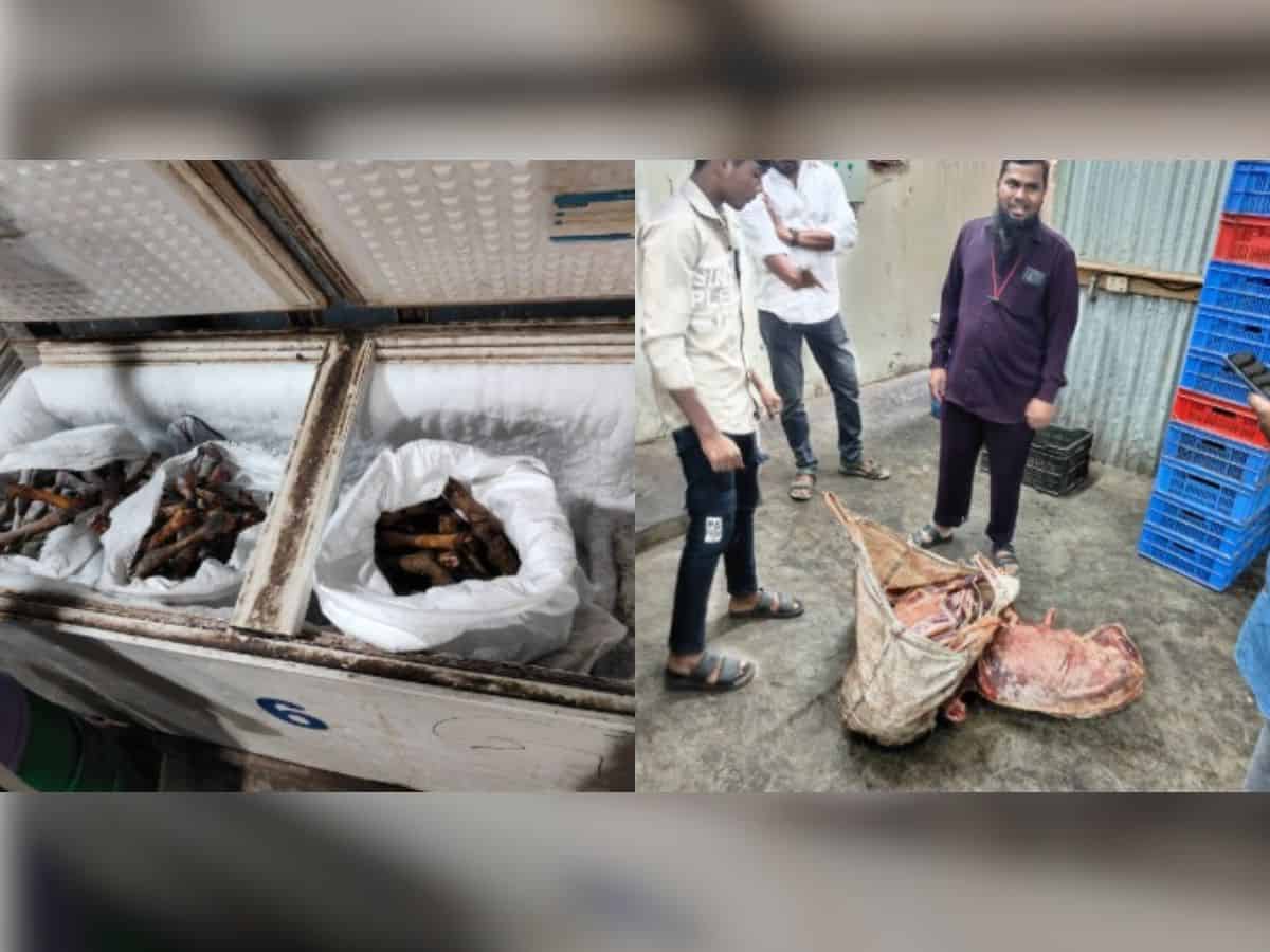 Spoiled paya, gurde, kaleji among 12 tons of offal seized in Mangalhat