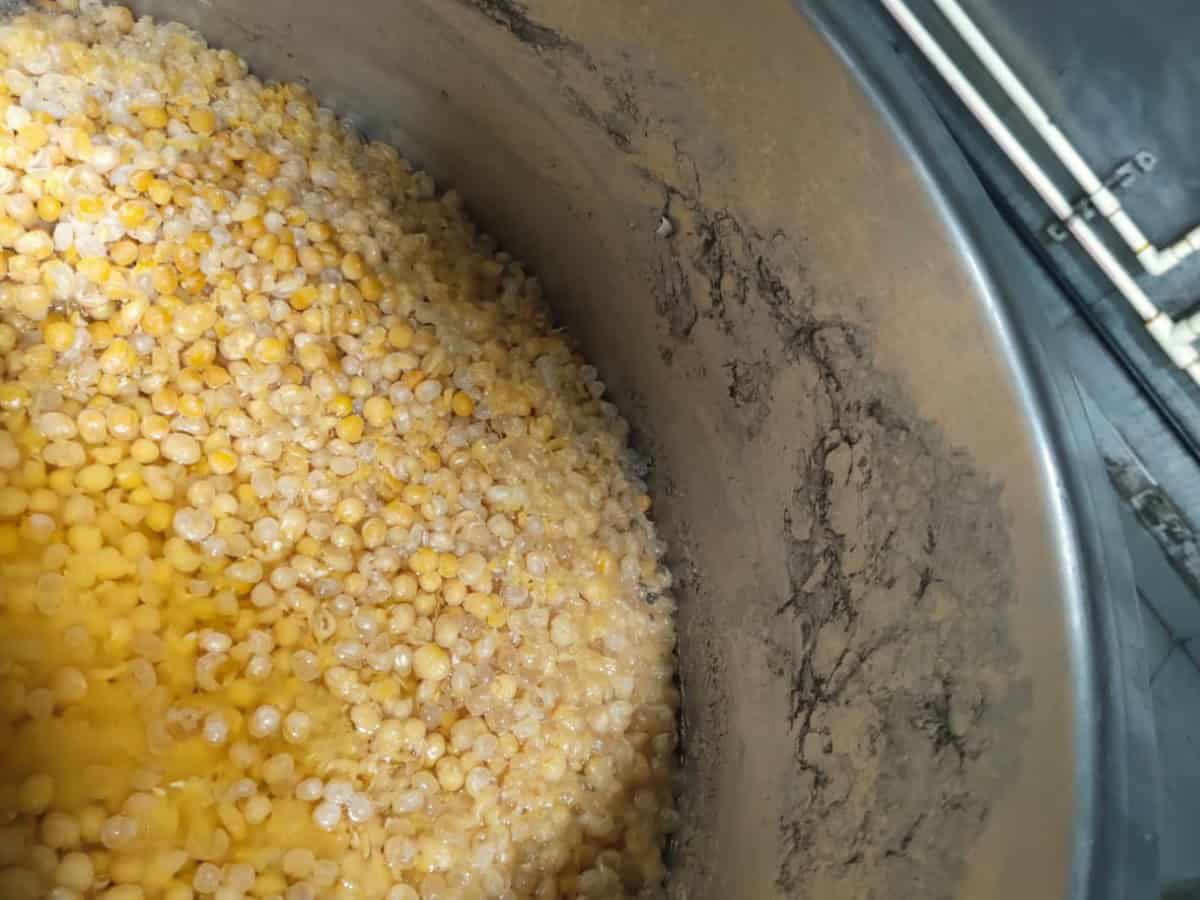 Food safety raids uncover housefly infestation at Kondapur