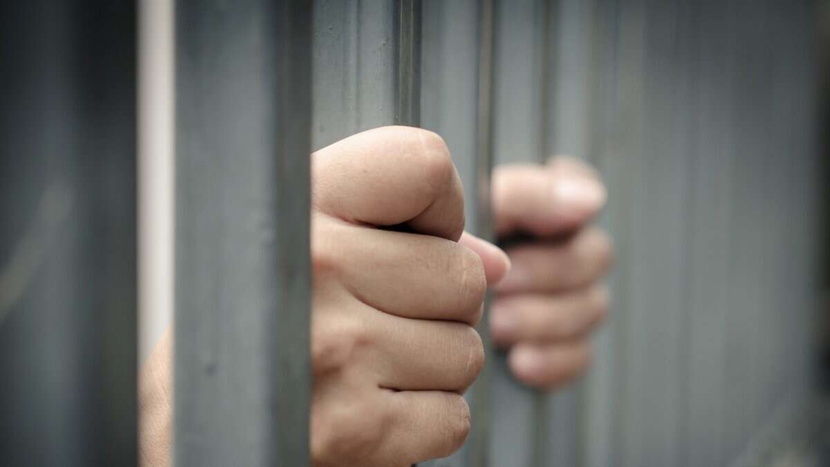 Representational Image of man holding prison bars