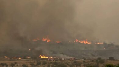 Forest fire near Beit Shemesh, Israel, with flames and thick smoke rising on April 30,
