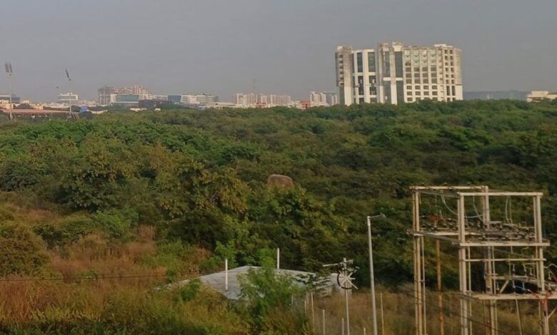 SC orders interim stay on tree felling at Kancha Gachibowli land