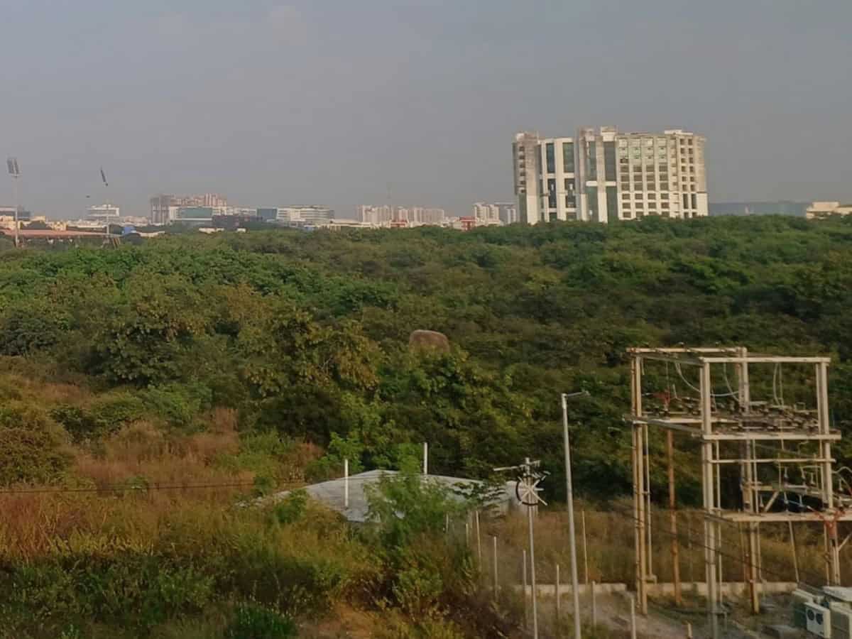 SC orders interim stay on tree felling at Kancha Gachibowli land