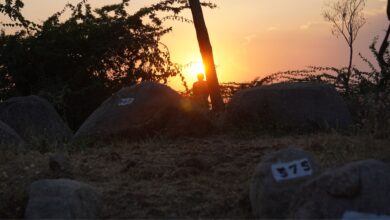 The image shows perfect alignment of sunset with the passage between stone circles at a burial in Mudumal on equinox, March 20, 2025.