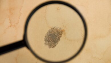 Representational Image of finger print