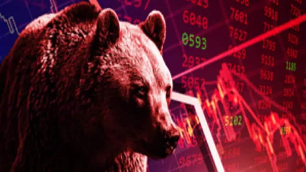 Bears in stock market in India