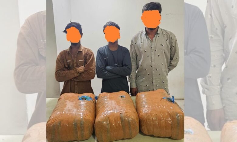 Three accused of possession and selling ganja arrested