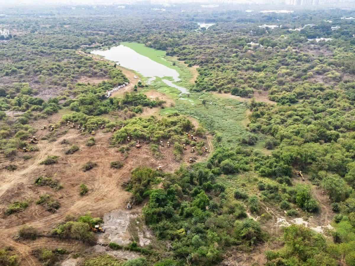 Expect ecological crisis if Kancha Gachibowli forest is razed down, says report
