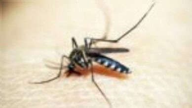 A representational image for Malaria