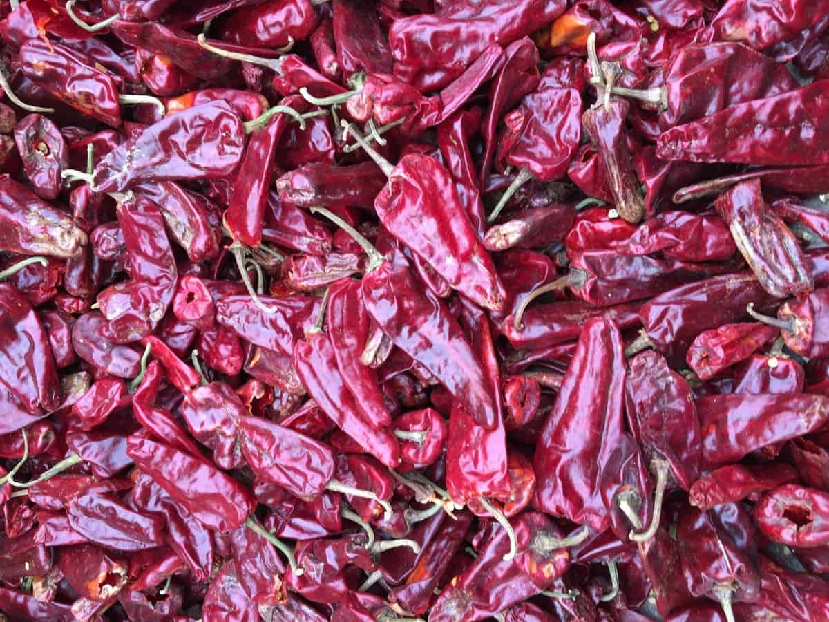 Warangal tomato chilli
