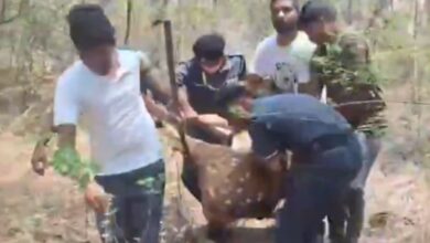 Spotted deer rescued inside HCU campus.