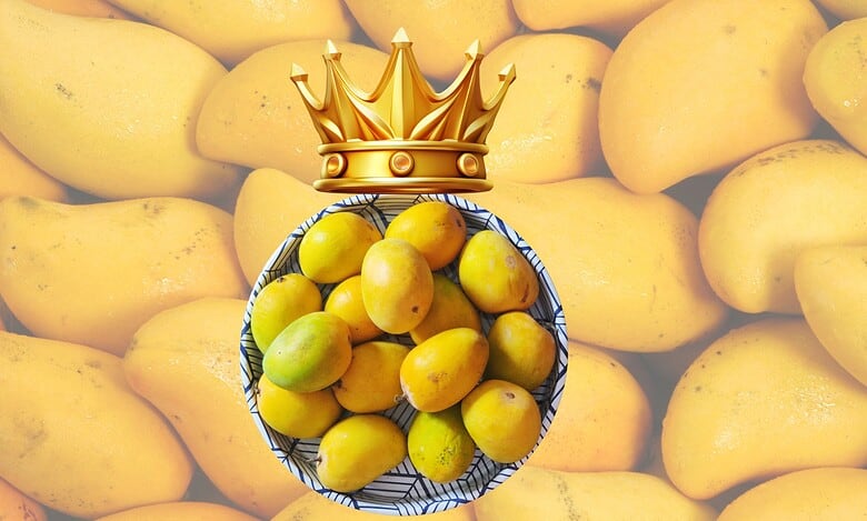 True to its name, Mango, the King of Fruits, continues to play a role in politics and trade deals