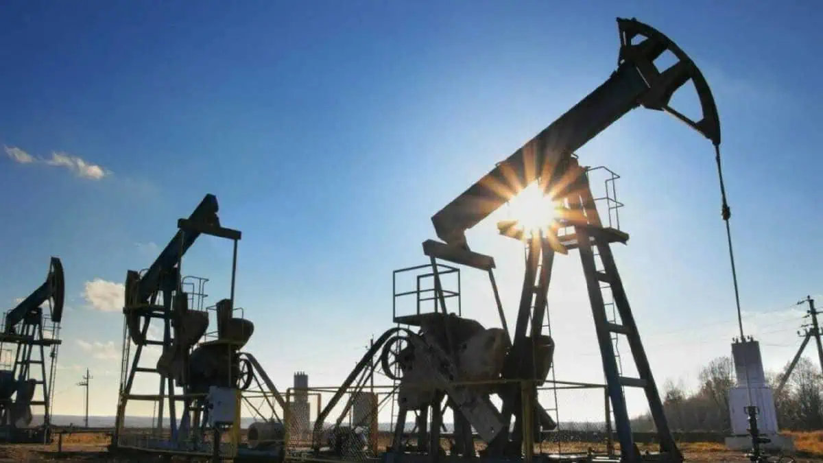 Oil pump jacks operating at a petroleum extraction site during sunset with clear blue sky.