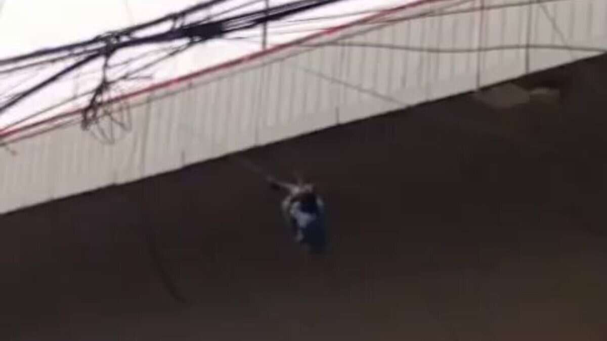 Man falls from Hyderabad’s PVNR expressway.
