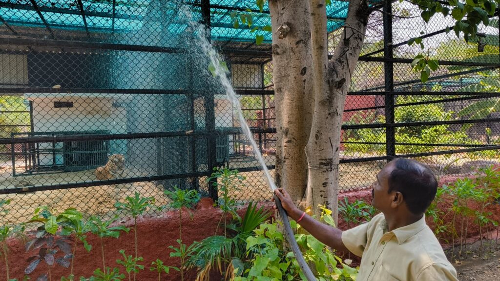 Zookeeper sprinkling water.