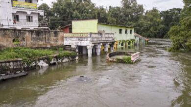 Cauvery river