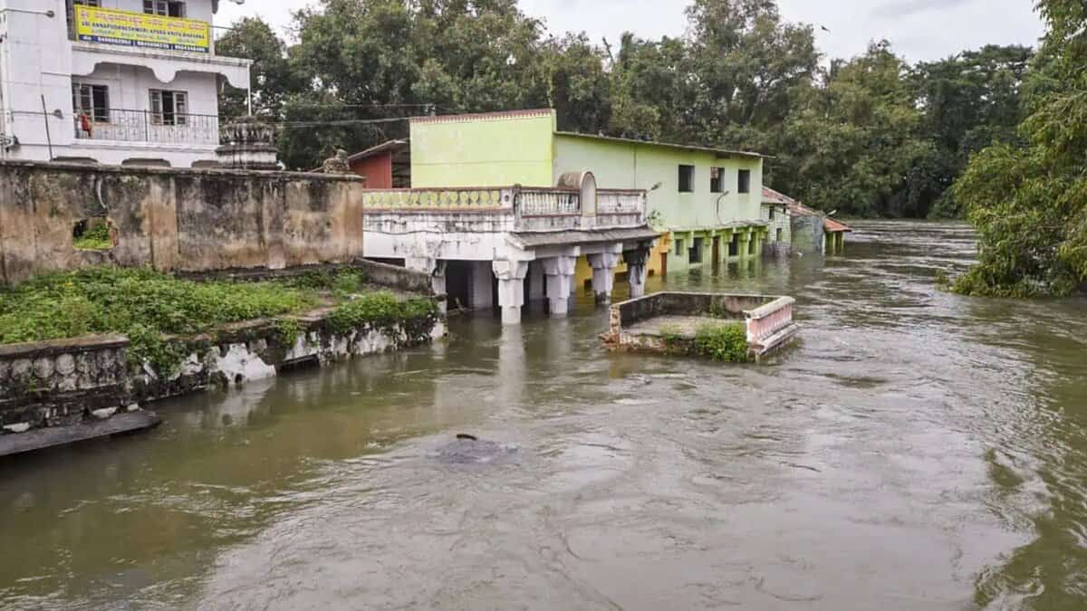 Cauvery river