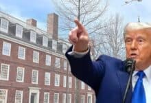 Harvard university in the background along with the photo of US President Donald Trump