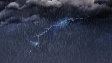 Heavy Rain