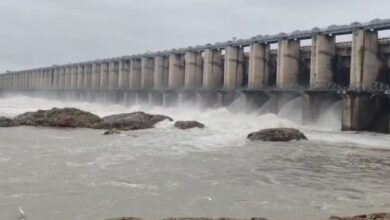 Jurala project and other projects on the Krishna basin start receiving good inflows early this year.