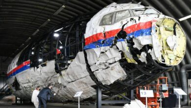 Malaysia Airlines flight MH17