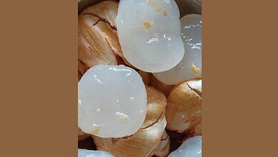 Ice apple in Hyderabad
