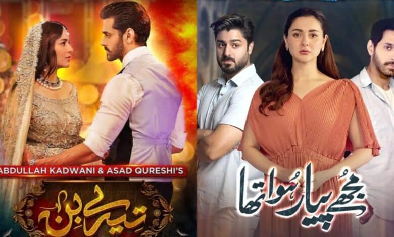 Tere Bin and Mujhe Pyaar Hua Tha posters