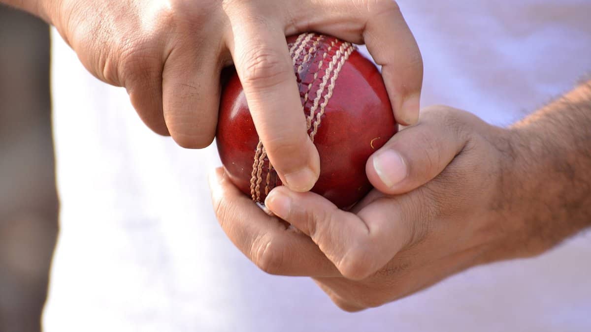 Representational Image of man holding cricket ball
