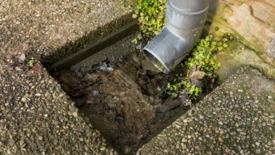 Representational Image of drain works