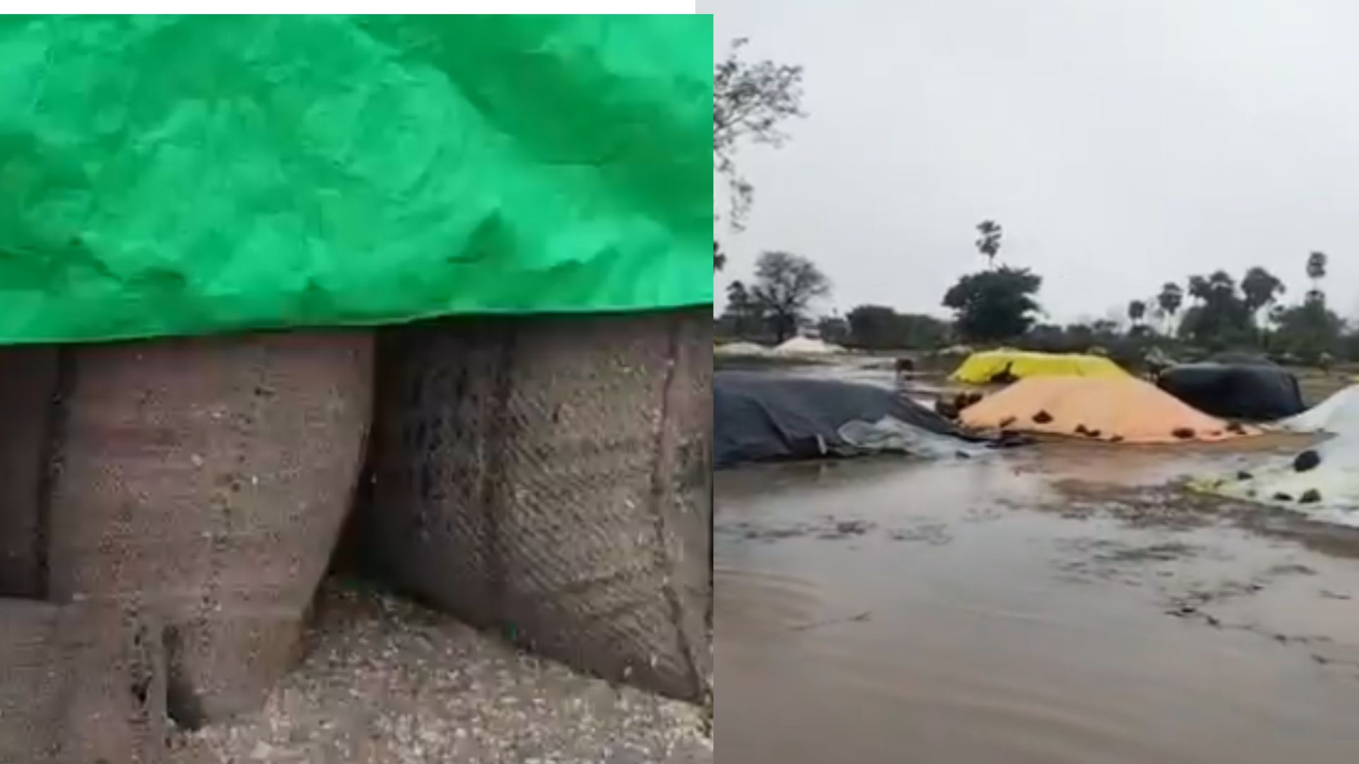Heavy rains in Telangana damage paddy produce in procurement centres on Wednesday, May 21, 2025.