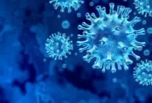The image displays a picture of COVID-19 virus