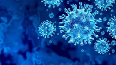 Representational Image of Hantavirus