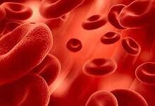 An Image of Red Blood Cells