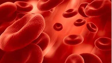 An Image of Red Blood Cells