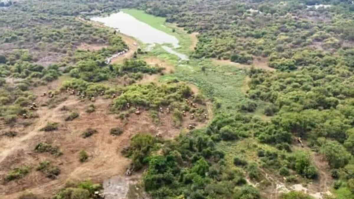 An image of Kancha Gachibowli land