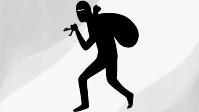 The image displays a picture of a burglar, thief