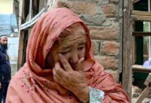 Pakistani troops shell areas near LoC, woman killed